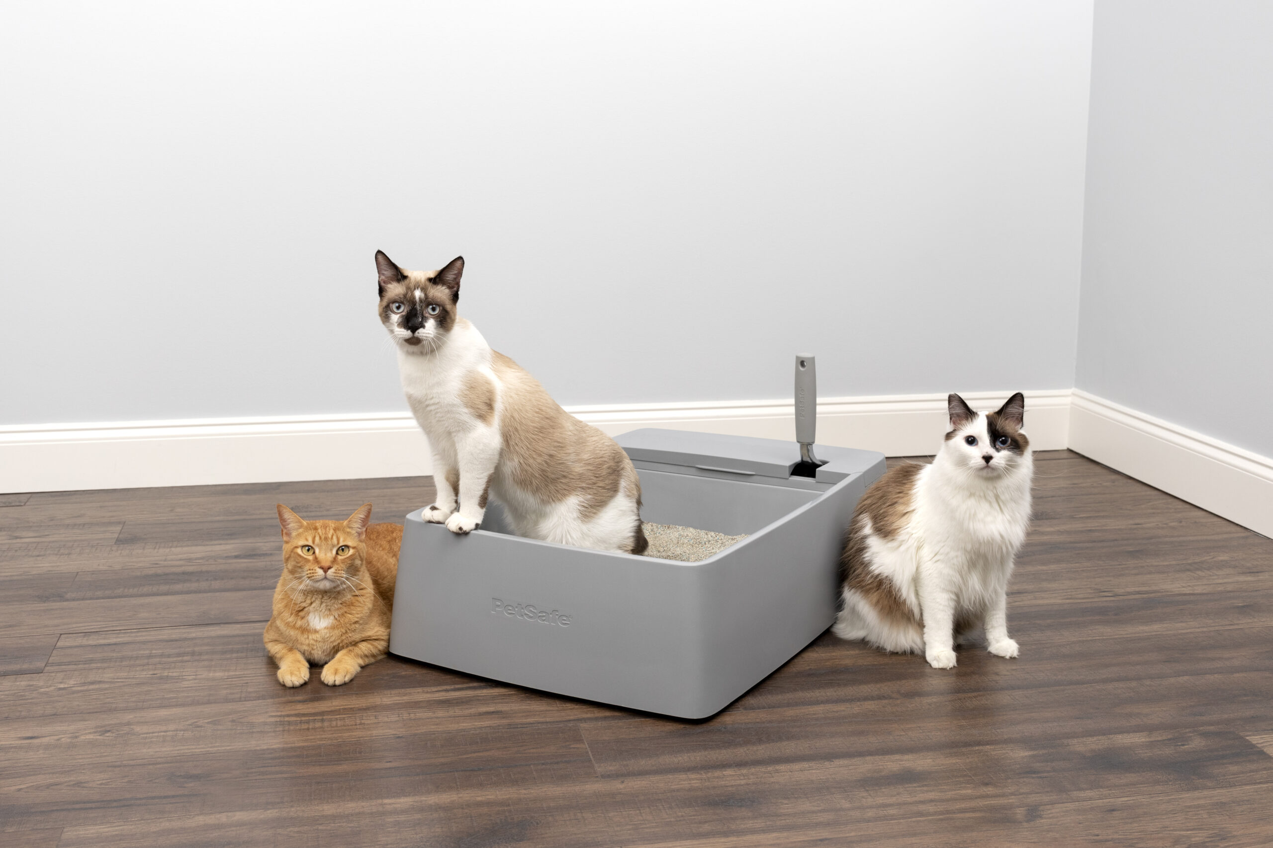 PetSafe Adds Multi-Cat Litter Box to Line of Pet Waste Management ...