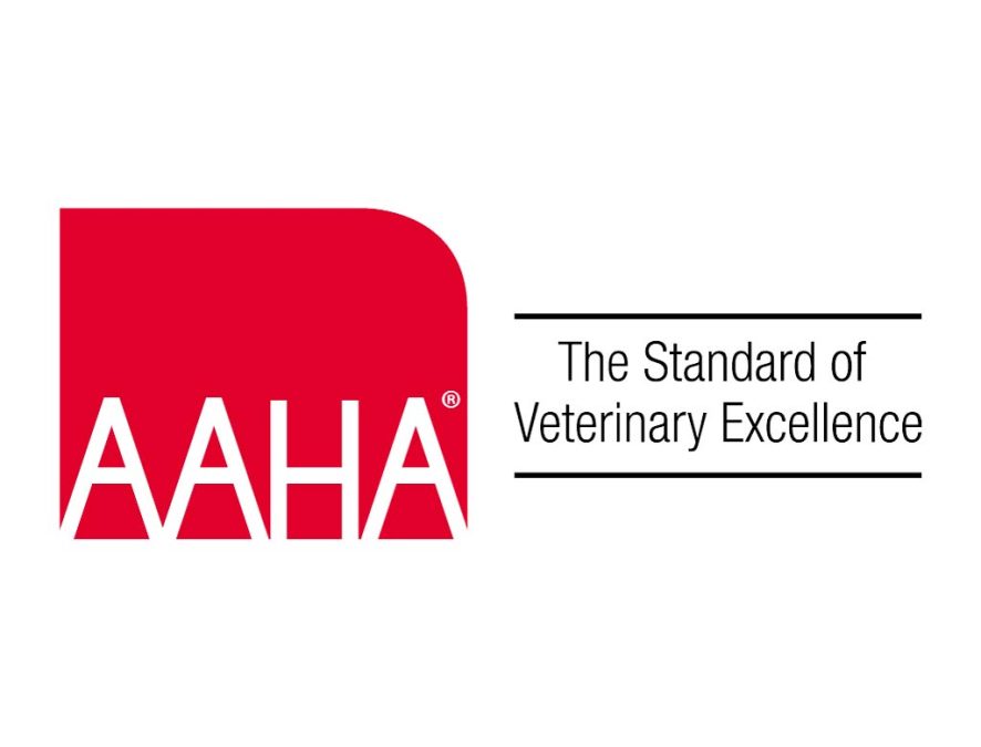 American Animal Hospital Association (AAHA) Announces New Mentoring